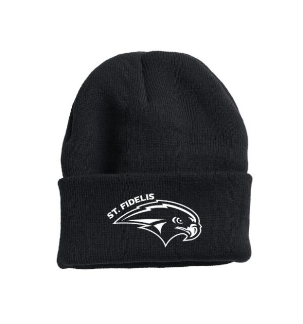 Falcons Black Toque